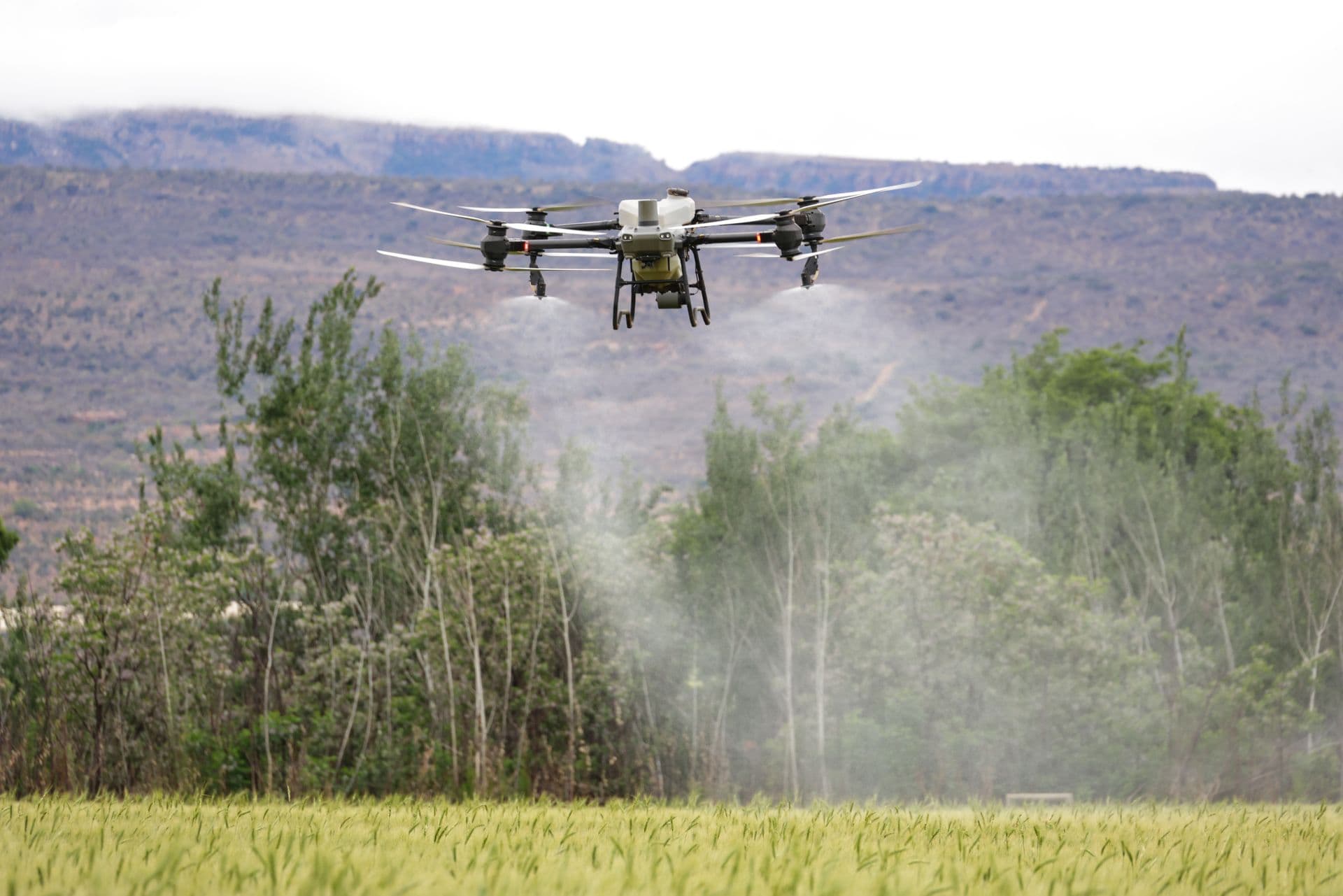 Agricultural spray drone working over crops with mountains behind